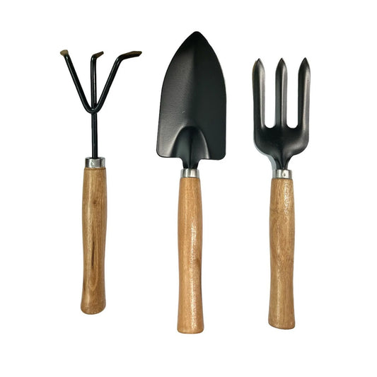 Set mini herramientas jardinería