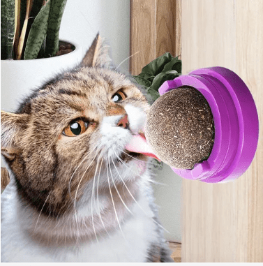 Catnip ball juguete para gato - Chile Po !