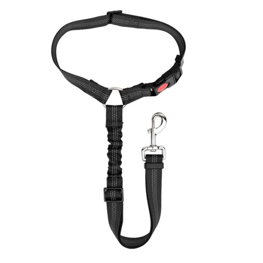 Correa leash para mascotas pro outdoor - Chile Po !